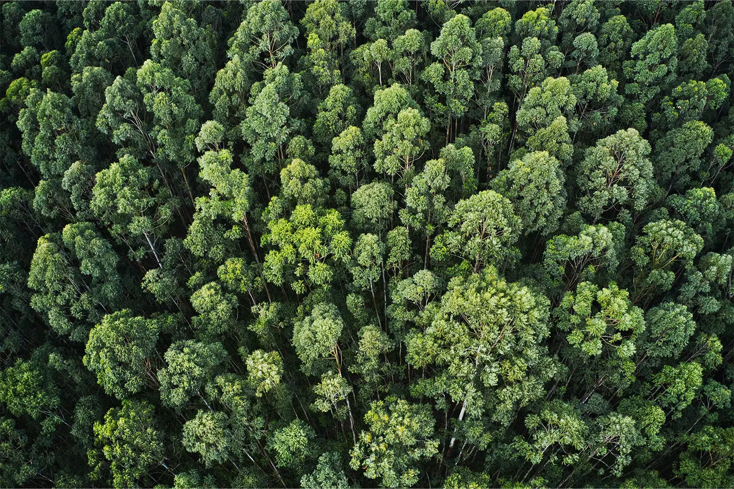 sustainability